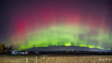 Increased chance to catch aurora borealis over coming days, says Calgary photographer