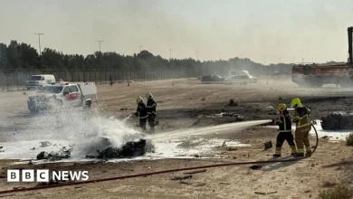 Indian fighter jet crashes at Dubai airshow