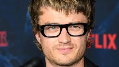 Inside Stranger Things star Joe Keery’s ‘secret career’ that’s left fans stunned