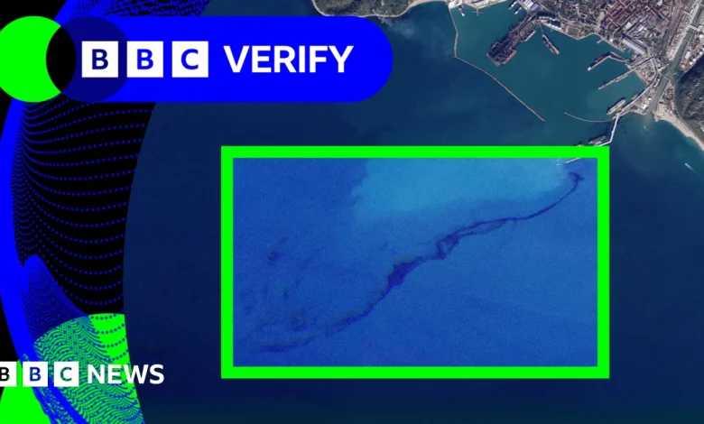 Investigating claim about viral image from Trump's Halloween party