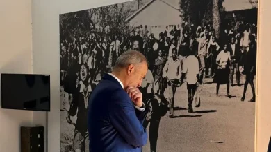 Ireland cannot be an outlier on asylum as other countries tighten rules, Taoiseach says