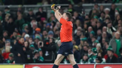 Ireland fans fume at referee for first-half performance in South Africa test