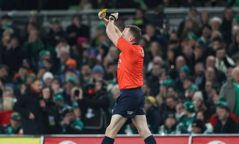 Ireland fans fume at referee for first-half performance in South Africa test