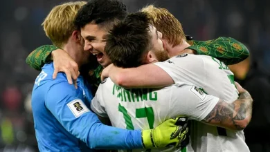 Ireland jump three places in Fifa rankings after Portugal and Hungary wins