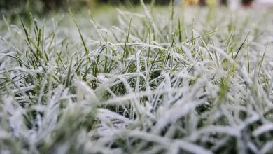 Ireland snow update as clean-up from Storm Claudia continues