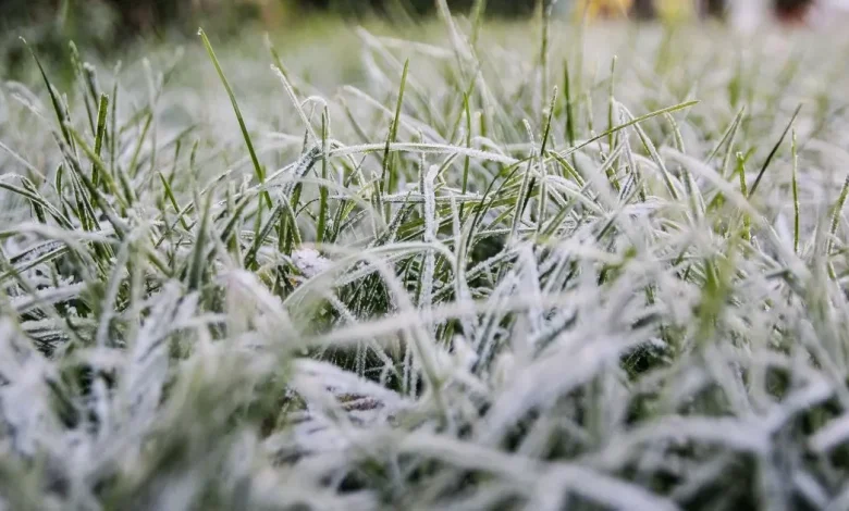 Ireland snow update as clean-up from Storm Claudia continues