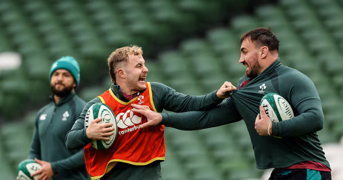 Ireland v South Africa: Not much at stake but everything to prove in defining clash