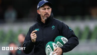 Ireland working on 'inconsistent' attack - Goodman