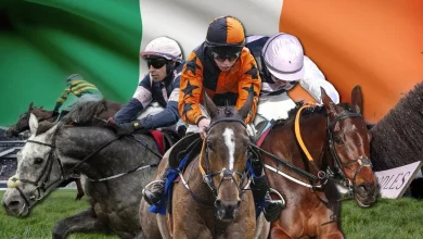 Ireland's five best chances at the November meeting - including a smart Flat stayer and a Cheltenham Festival runner-up