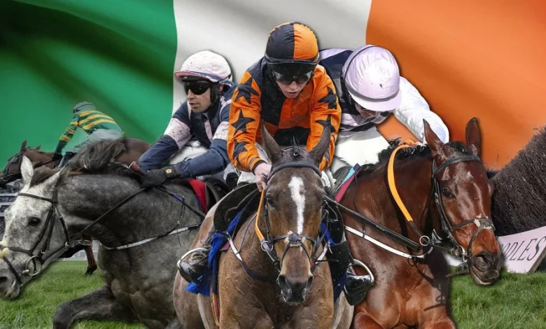 Ireland's five best chances at the November meeting - including a smart Flat stayer and a Cheltenham Festival runner-up