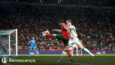 “Irlanda vai defender, 'low block'”. Mickey Walsh brilhou e vive em Portugal, mas será sempre um “boy in green”