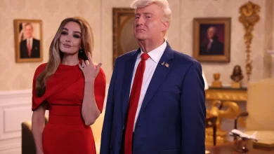 Is Saturday Night Live New Tonight? Check Out the November 8 Host & Musical Guest