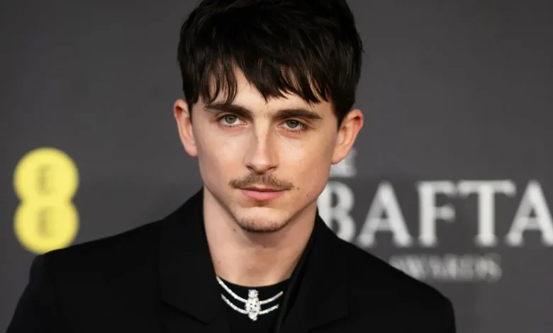 Is This Mysterious U.K. Rapper Actually Timothée Chalamet?