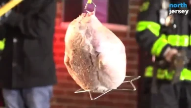 Is it legal to deep fry a turkey in your backyard in NJ? Is it safe?