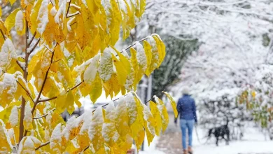 Is lake-effect snow in Ohio's Thanksgiving forecast? Models show possible arctic blast