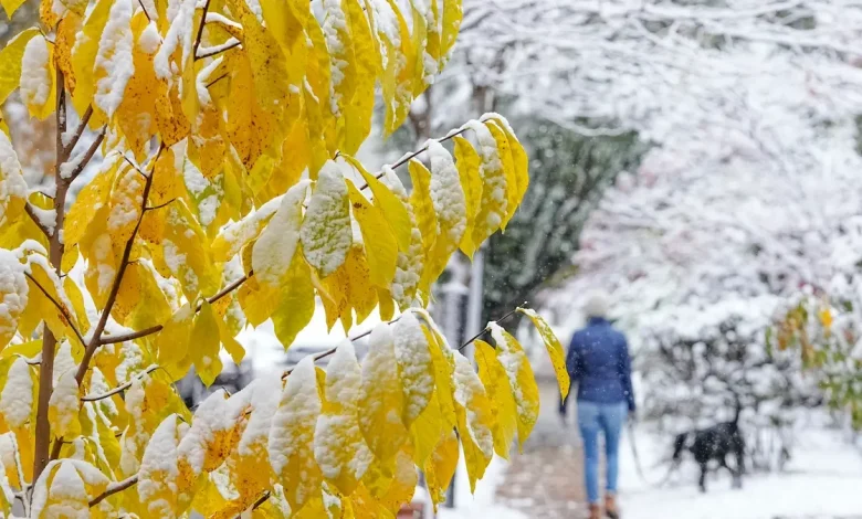 Is lake-effect snow in Ohio's Thanksgiving forecast? Models show possible arctic blast