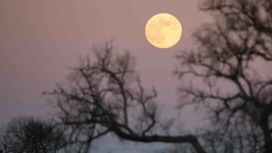 Is the moon full tonight? When to see the largest 'supermoon'