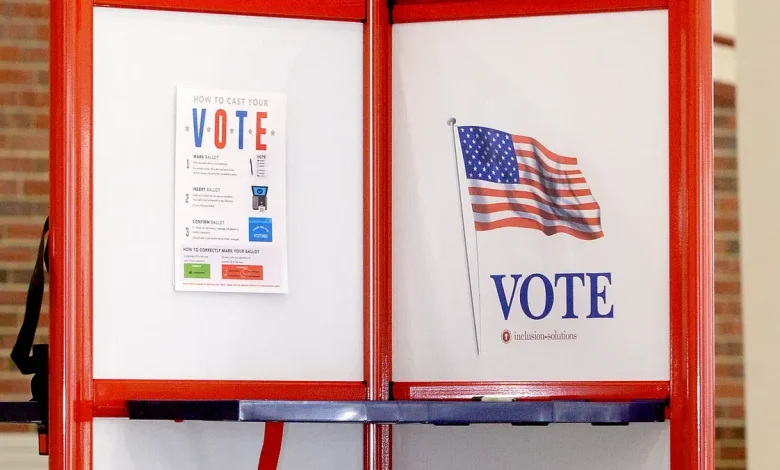 Is there an election in Illinois on Nov. 4? What you need to know