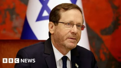 Israeli concern over proposed renaming of Dublin park