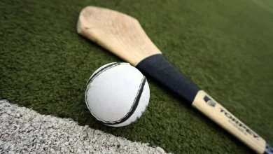 It'll be Kilkenny versus Wexford in Leinster Club Hurling final