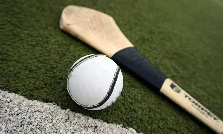 It'll be Kilkenny versus Wexford in Leinster Club Hurling final