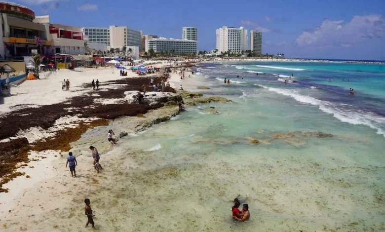 It’s b-a-a-a-ck! Sargassum makes a surprise late-season return in Cancún