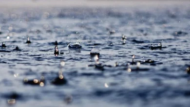 It's the calm BETWEEN the storms... that's right, more wind/rain tomorrow