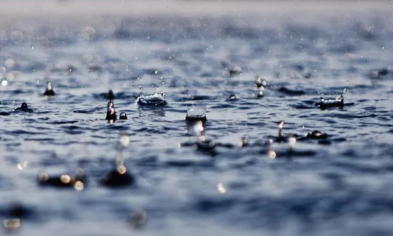 It's the calm BETWEEN the storms... that's right, more wind/rain tomorrow