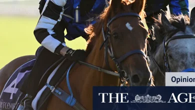 I’ve watched Gai Waterhouse transform this horse — and something is different