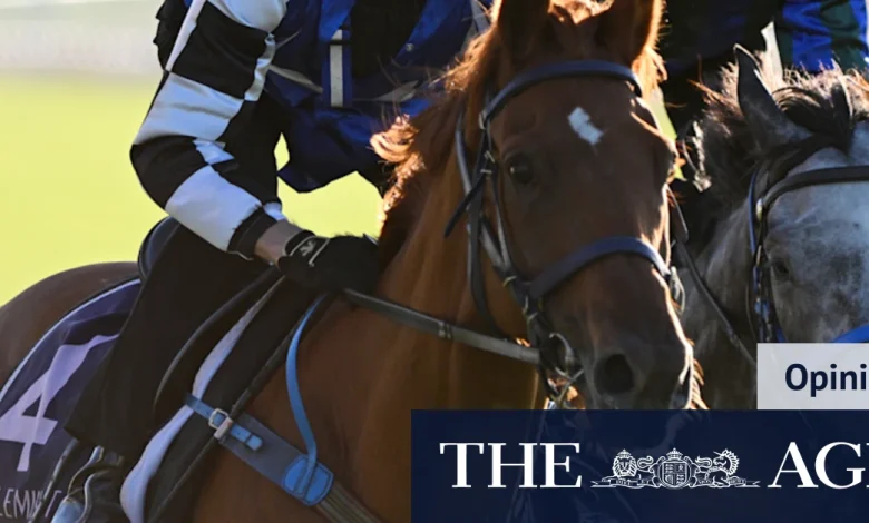 I’ve watched Gai Waterhouse transform this horse — and something is different
