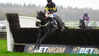 JPR One expected to put up staunch defence of Haldon crown