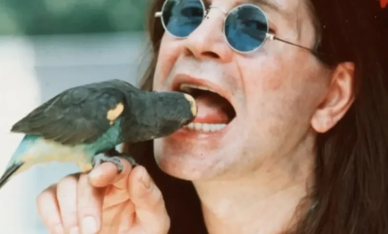 Jack Osbourne shocks I'm A Celebrity campmates as he reveals truth behind dad Ozzy biting off a dove's head