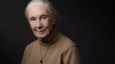 Jane Goodall’s Plea for Future Generations, in Her Own Words