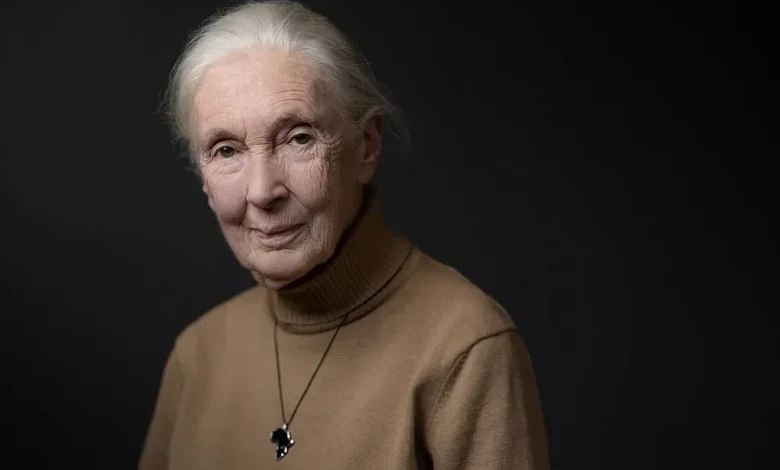 Jane Goodall’s Plea for Future Generations, in Her Own Words
