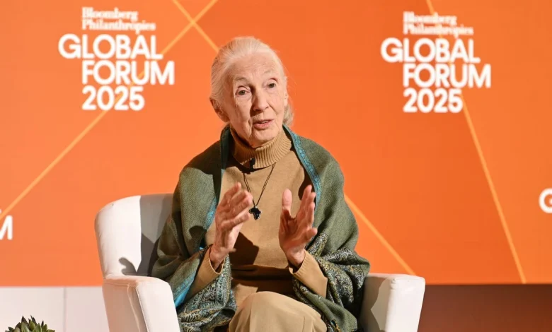 Jane Goodall’s inspiring final words as chimp expert is laid to rest