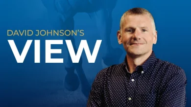 Japan Cup preview: David Johnson on Calandagans bid for glory