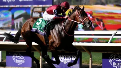 Japan's Forever Young wins $7M Breeders' Cup Classic