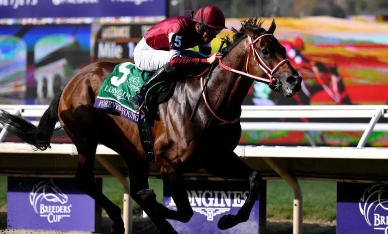 Japan's Forever Young wins $7M Breeders' Cup Classic