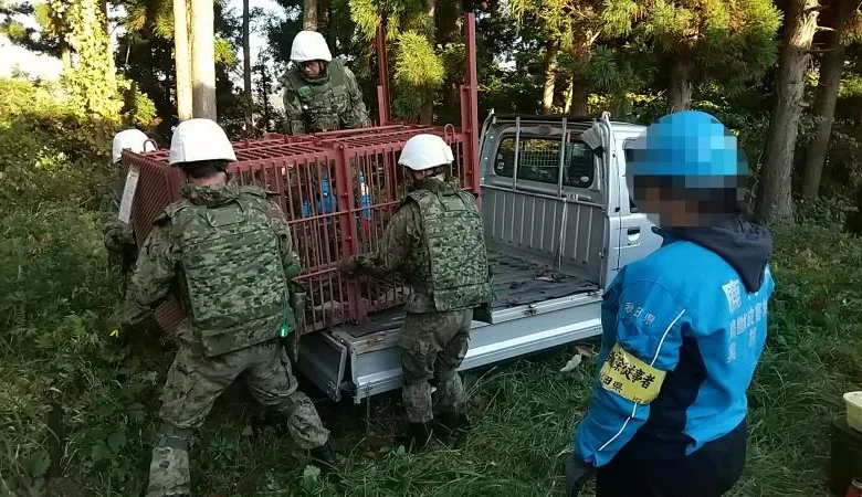 Japan’s military is on the ground facing a new challenge: bears