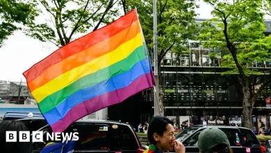 Japan's same-sex marriage ban is constitutional, says Tokyo court