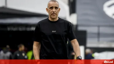 João Pedro Sousa e a receção ao Tondela: «Jogo muito importante mas não é um tudo ou nada»