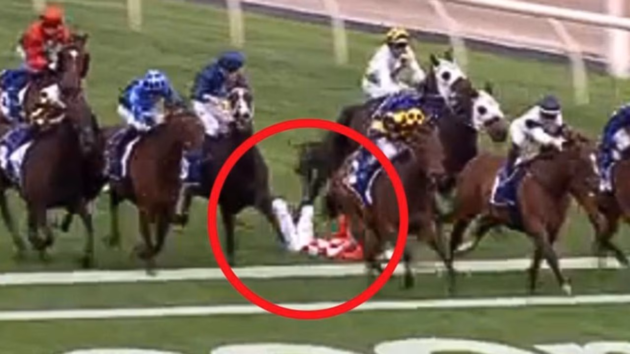 Jockey taken to hospital after horror fall