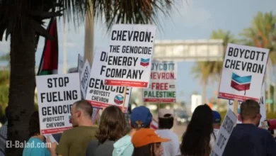 Join the Chevron Boycott: Day of Action on November 22
