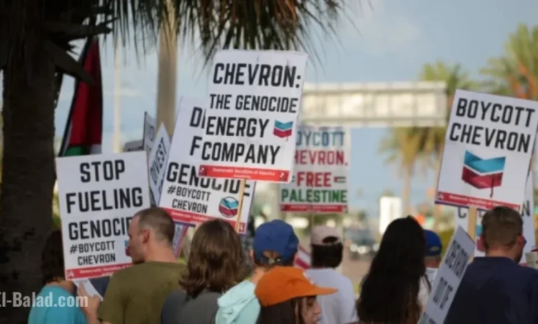 Join the Chevron Boycott: Day of Action on November 22