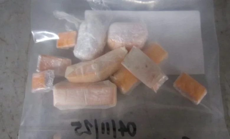 Joint intelligence operation thwarts nearly $1 million drug smuggling attempt into correctional facility