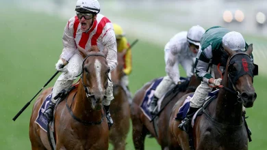 Jumping to conclusions – Cup week fairytales born over obstacles