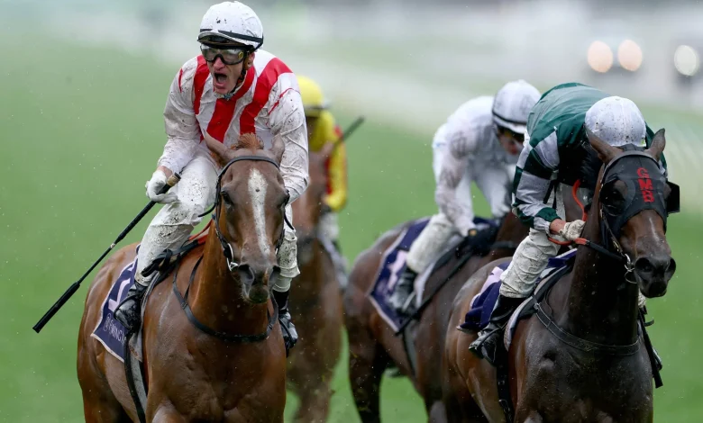 Jumping to conclusions – Cup week fairytales born over obstacles