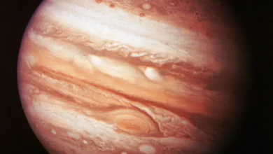 Jupiter Retrograde In Cancer Is Here — Protect Your Energy & Your Heart