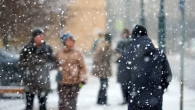 "Jusqu’à 40 cm de neige attendus" La neige arrive en France : voici quand et les départements concernés