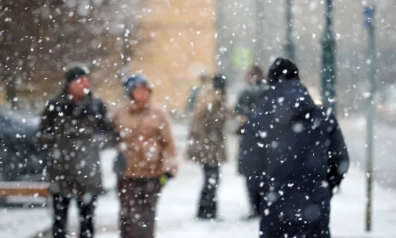 "Jusqu’à 40 cm de neige attendus" La neige arrive en France : voici quand et les départements concernés